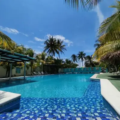 Coconut village