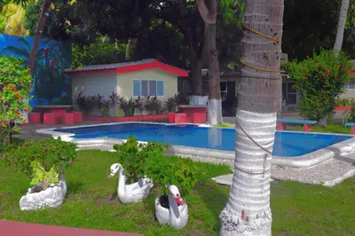 a group of white swans by a swimming pool at Rincon del atardecer in La Libertad