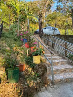 a set of stairs with flowers and a fence at Aguiñada's House in El Rosario
