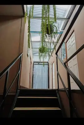 a hallway with stairs and a ceiling with plants at Casa de Huéspedes Noche de Luna in San Salvador
