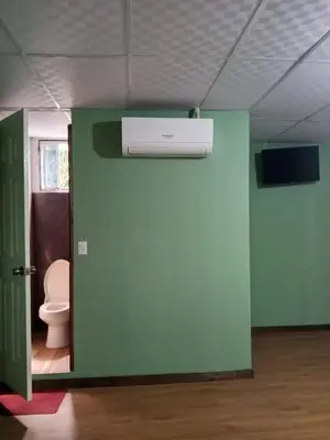 a bathroom with a toilet and a green wall at Casa de Huéspedes Noche de Luna in San Salvador