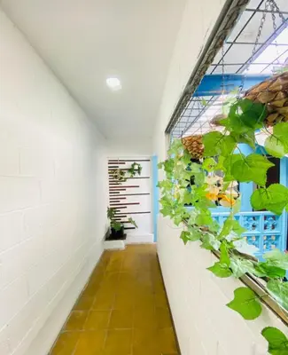 a hallway with green plants on a wall at Hostal La casa de Ross in Santa Ana