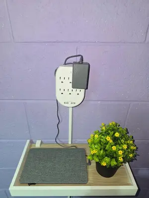 a table with a box and two plants on it at central and private apartment in Santa Ana