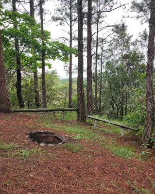 a man hole in the middle of a forest at Camping La Palma in La Palma